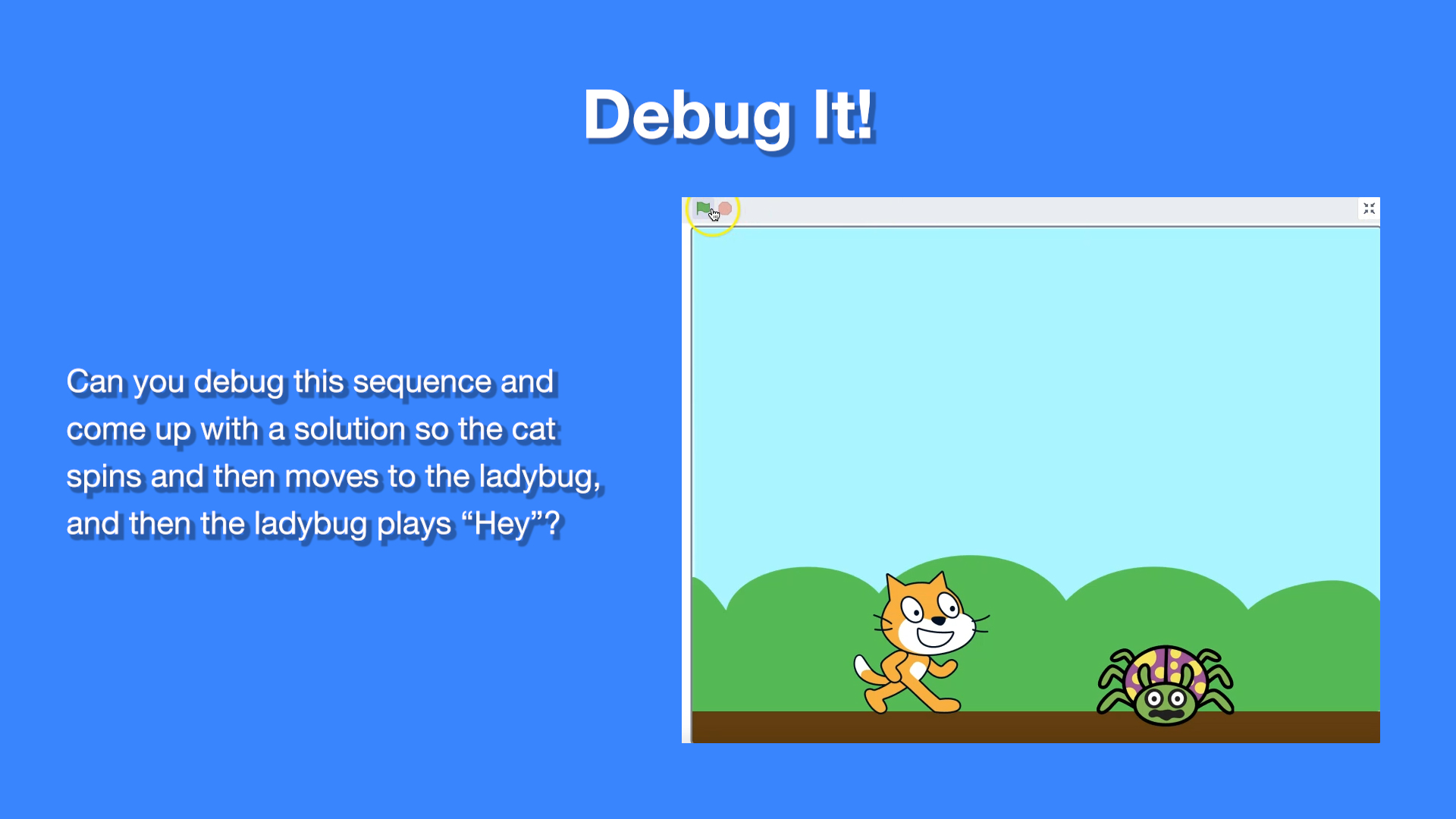 Debugging Challenge: Cat and Bug